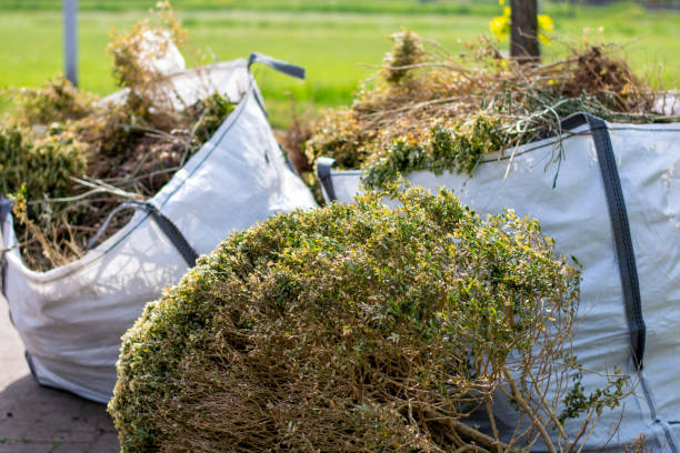 Best Furniture Removal Near Me  in Knox, IN